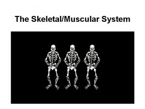 Charlie system