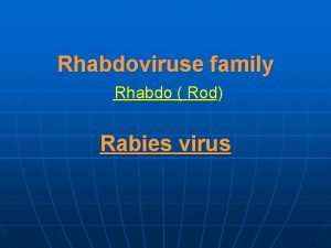 Rhabdoviruse family Rhabdo Rod Rabies virus Rabies n