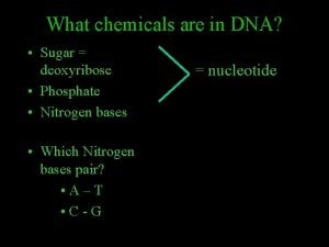 What chemicals are in DNA Sugar deoxyribose Phosphate