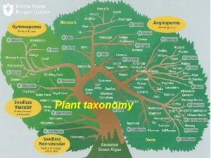 Taxonomy of plants