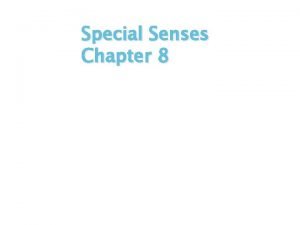 Special Senses Chapter 8 The Senses General senses