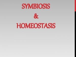 SYMBIOSIS HOMEOSTASIS Lets Discuss What is symbiosis What