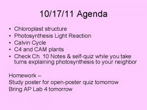 101711 Agenda Chloroplast structure Photosynthesis Light Reaction Calvin