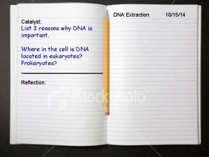 DNA Extraction Catalyst List 3 reasons why DNA