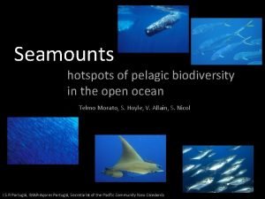 Seamounts hotspots of pelagic biodiversity in the open