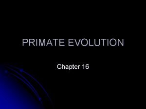 PRIMATE EVOLUTION Chapter 16 Primate Adaptation Evolution Ch