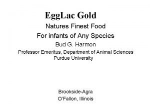 Egg Lac Gold Natures Finest Food For infants