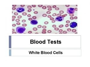 Blood Tests White Blood Cells Outline v White