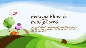 Ted ed ecosystems