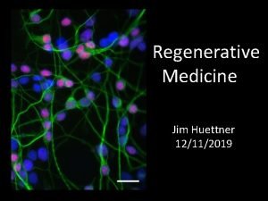 Regenerative Medicine Jim Huettner 12112019 In vitro differentiation
