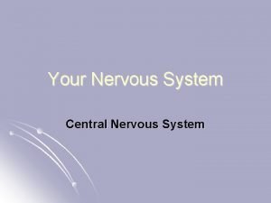 Your Nervous System Central Nervous System Parts of