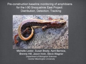 Preconstruction baseline monitoring of amphibians for the I90