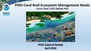 Coral piro