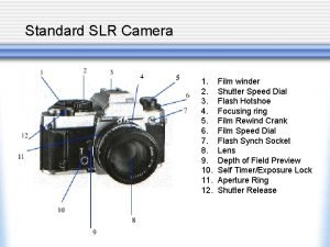 Slr