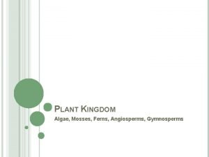 Ferns and algae kingdom