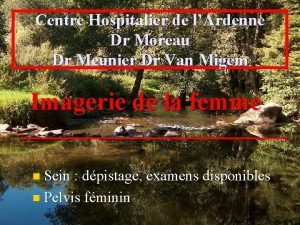 Centre Hospitalier de lArdenne Dr Moreau Dr Meunier