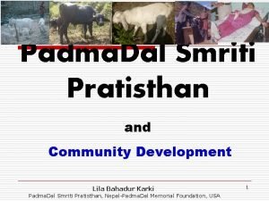 Padma Dal Smriti Pratisthan and Community Development Lila