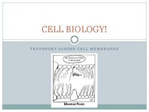 CELL BIOLOGY TRANSPORT ACROSS CELL MEMBRANES Cell membrane