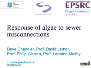 Response of algae to sewer misconnections Dave Chandler