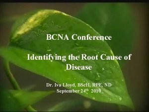 Root cand