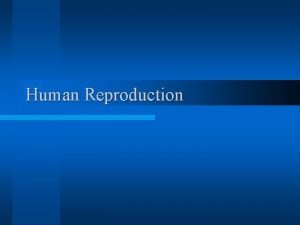 Human Reproduction Human Reproduction Notes l Purpose of