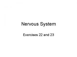 Nervous System Exercises 22 and 23 Reflexes Reflexes