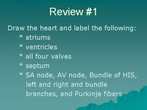 Review 1 Draw the heart and label the