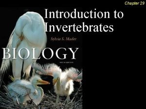 Chapter 29 Introduction to Invertebrates Introduction to Invertebrates
