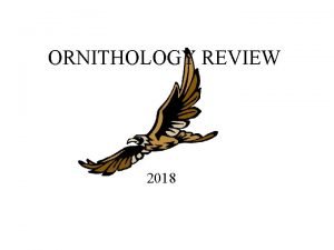 ORNITHOLOGY REVIEW 2018 PRAIRIE FALCON Family Falconidae Order