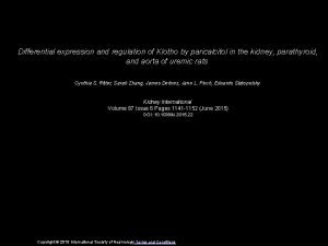 Differential expression and regulation of Klotho by paricalcitol