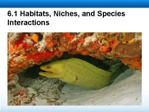 6.1 habitats niches and species interactions