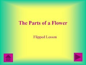 The Parts of a Flower Flipped Lesson The