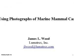 Using Photographs of Marine Mammal Car James L