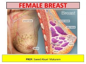 FEMALE BREAST PROF Saeed Abuel Makarem OBJECTIVES By