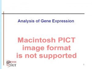 Analysis of Gene Expression Anne R Haake Rhys