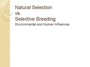 Natural Selection vs Selective Breeding Environmental and Human