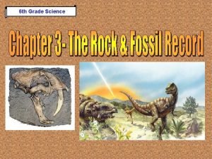 Features of phacops and tropites as index fossils