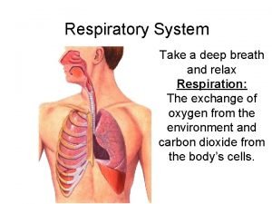 Respiratory system diagram