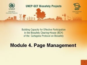 Module 4 Page Management 1 MODULE 4 Page