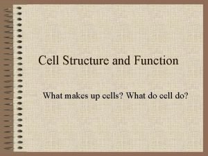 Cilia and flagella function