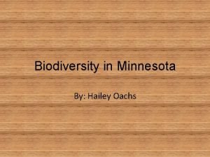 Biodiversity in Minnesota By Hailey Oachs American Coot