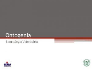 Ontogenia Imunologia Veterinria Medula ssea Clula pluripotente clula
