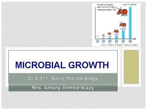 Microbiology bacterial growth