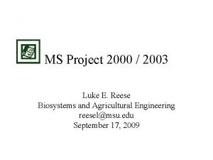 Ms project 2000