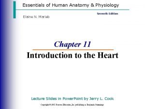 Cardiac anatomy