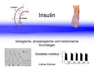 Insulin biologische physiologische und medizinische Grundlagen Diabetes mellitus