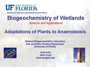 Institute of Food and Agricultural Sciences IFAS Biogeochemistry