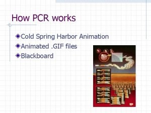 How PCR works Cold Spring Harbor Animation Animated