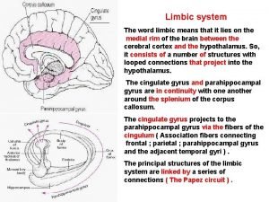 Limbic system