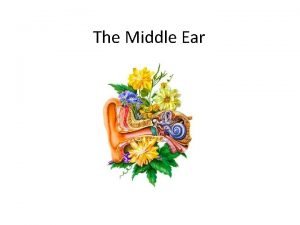 Middle ear cleft Middle ear cleft